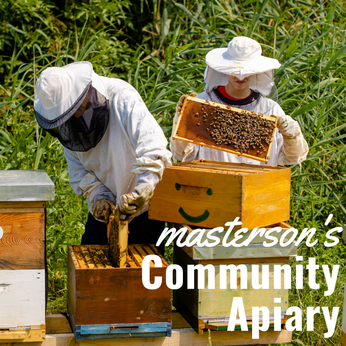 Community Apiary "Drone Package"