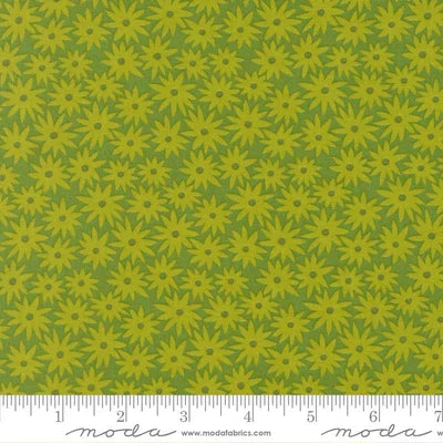 Limeade- Scenery Sedum- Fat Quarter