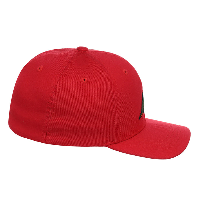 Americana Youth Dinosaur All Star Cap