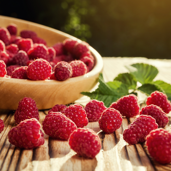 Bare Root Raspberries & Blackberries