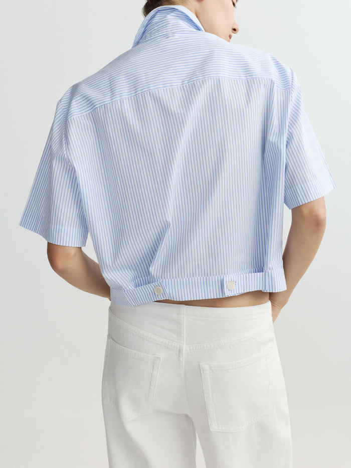 DL1961 women's Carlee Short-Sleeve shirt in blue striped 'Picnic', back view on model.