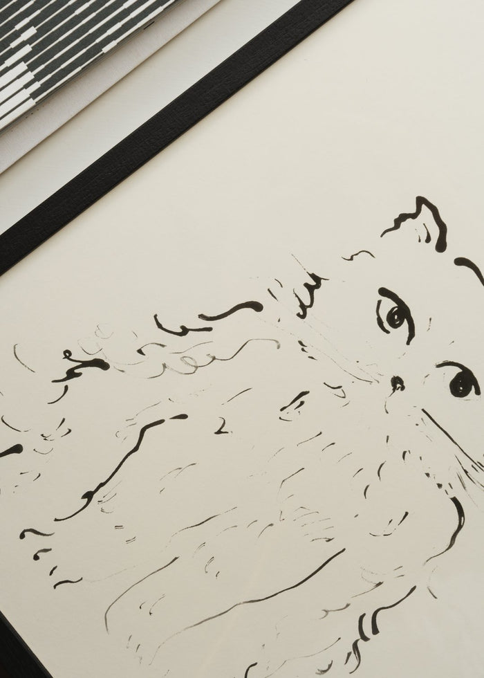Cat by Oamul