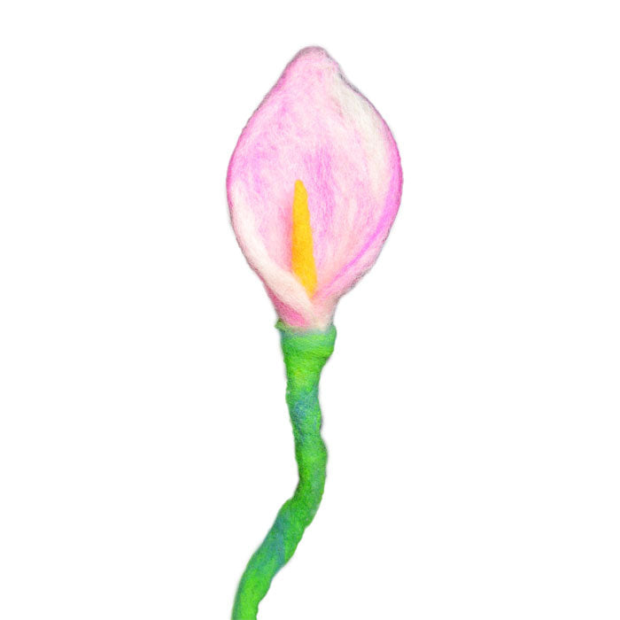 Felting example