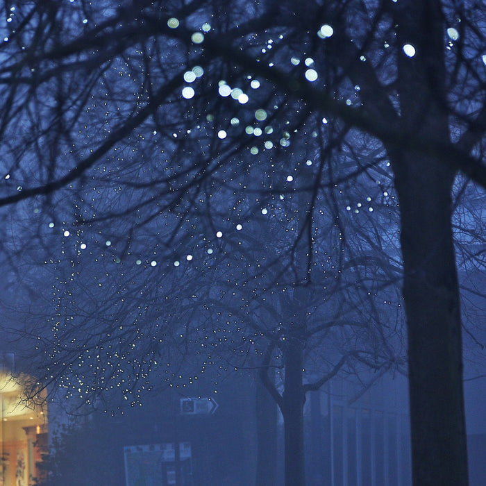 ML100WG_White-Low-Voltage-Christmas-Lights_P3_c4113254-7110-458e-938a-89b850458bd4.jpg