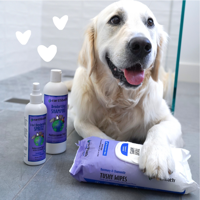 Dog with hearts using Deodorizing Shampoo