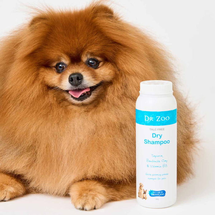 Dog with a bottle of Dr. Zoo dry shampoo on a white background