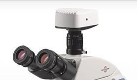 Eyepieces for Accu-Scope EXC-350 Series - Microscope Central