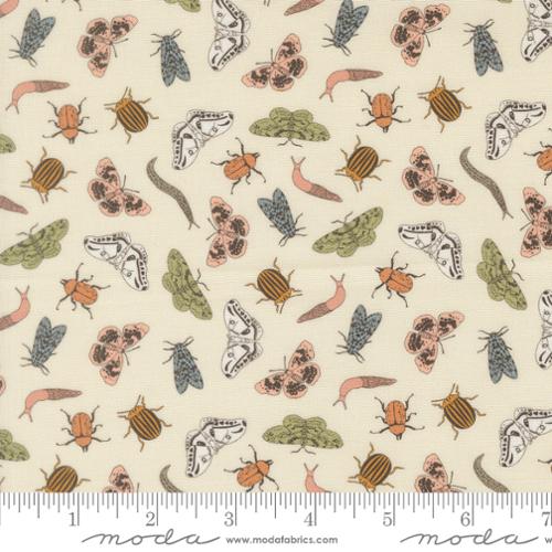 F3245 - Petalush - Novelty Bugs - Lush