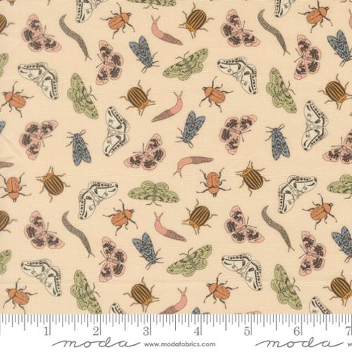 F3246 - Petalush - Novelty Bugs - Ballerina