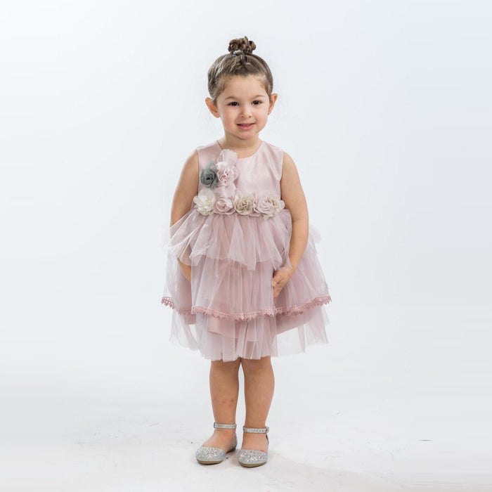 Smiling toddler girl in a sleeveless dusty pink dress with layered tulle skirt & floral appliqués across the bodice, paired with sparkly silver shoes.