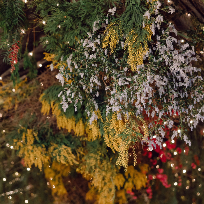 Italian Esque Spice and Olive Estate Wedding