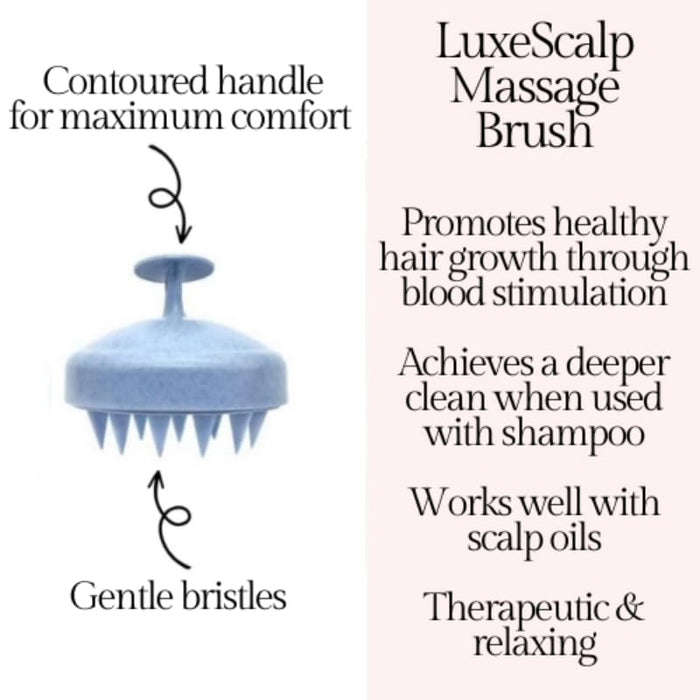 Scalp Massage Brush
