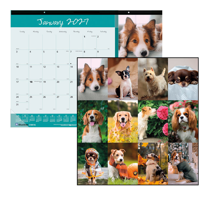 Monthly Desk Pad Calendar, Best Friend, 2027 C194116-27 Blueline
