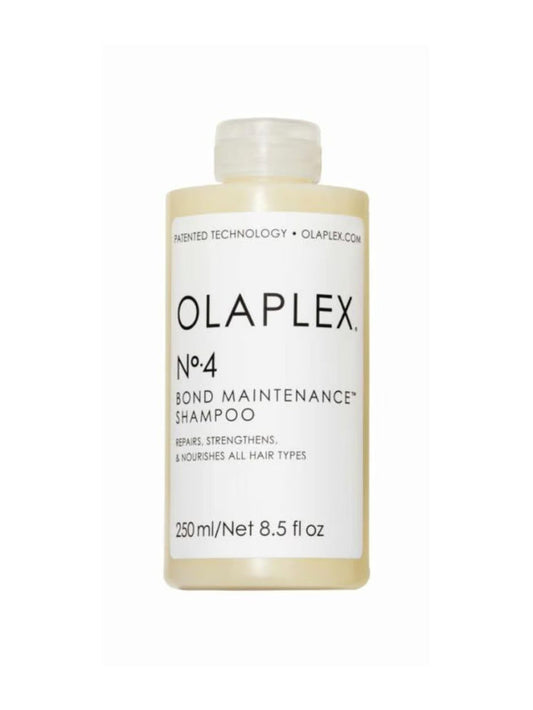 OLA62160.jpg
