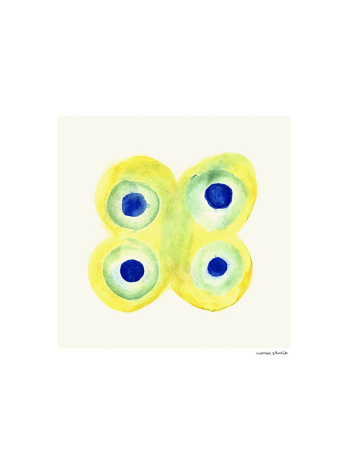 Papillon No. 1 by Nomen Studio