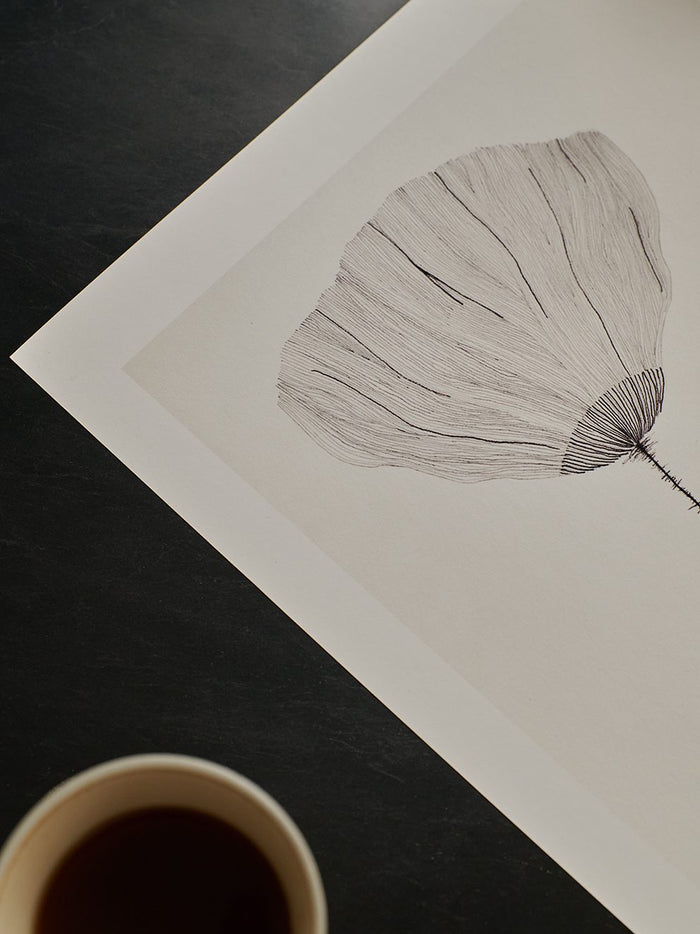 Poppy by Ana Frois