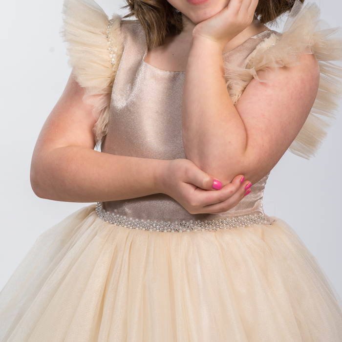 The Cutest Princess Girls Formal Dress