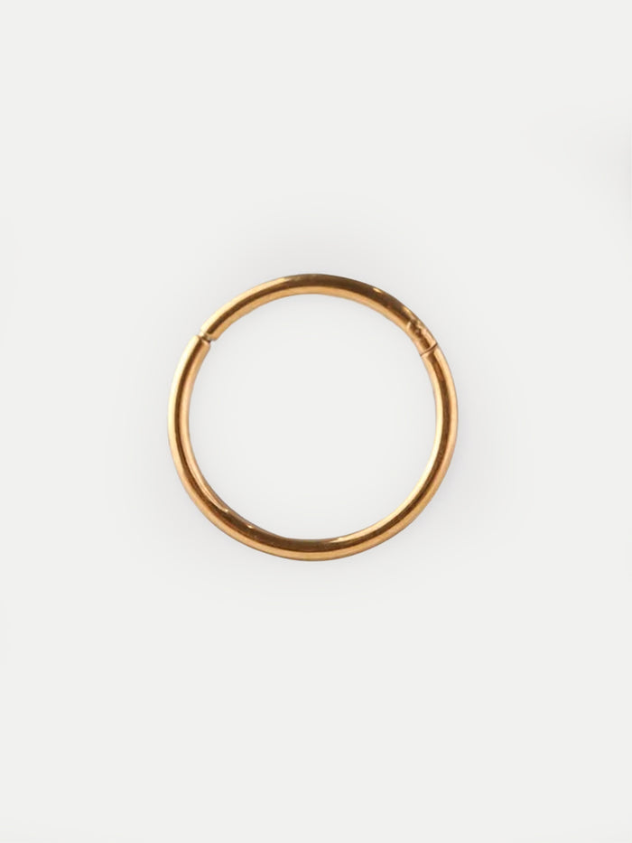 Titanium Plated Hinged Ring 20G | Gold-Image 1