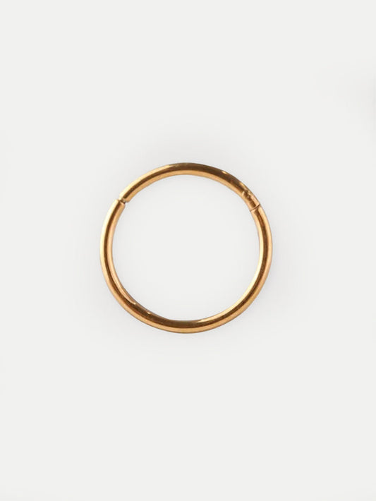 Titanium Plated Hinged Ring 20G | Gold-Image 1