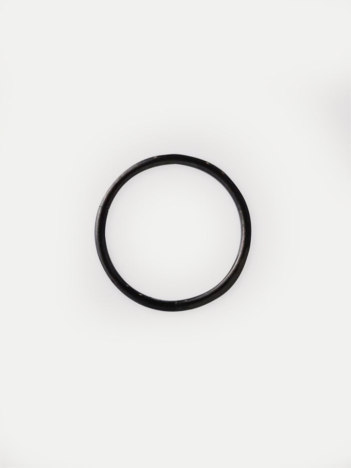 Titanium Plated Hinged Ring 20G | Black-Image 2